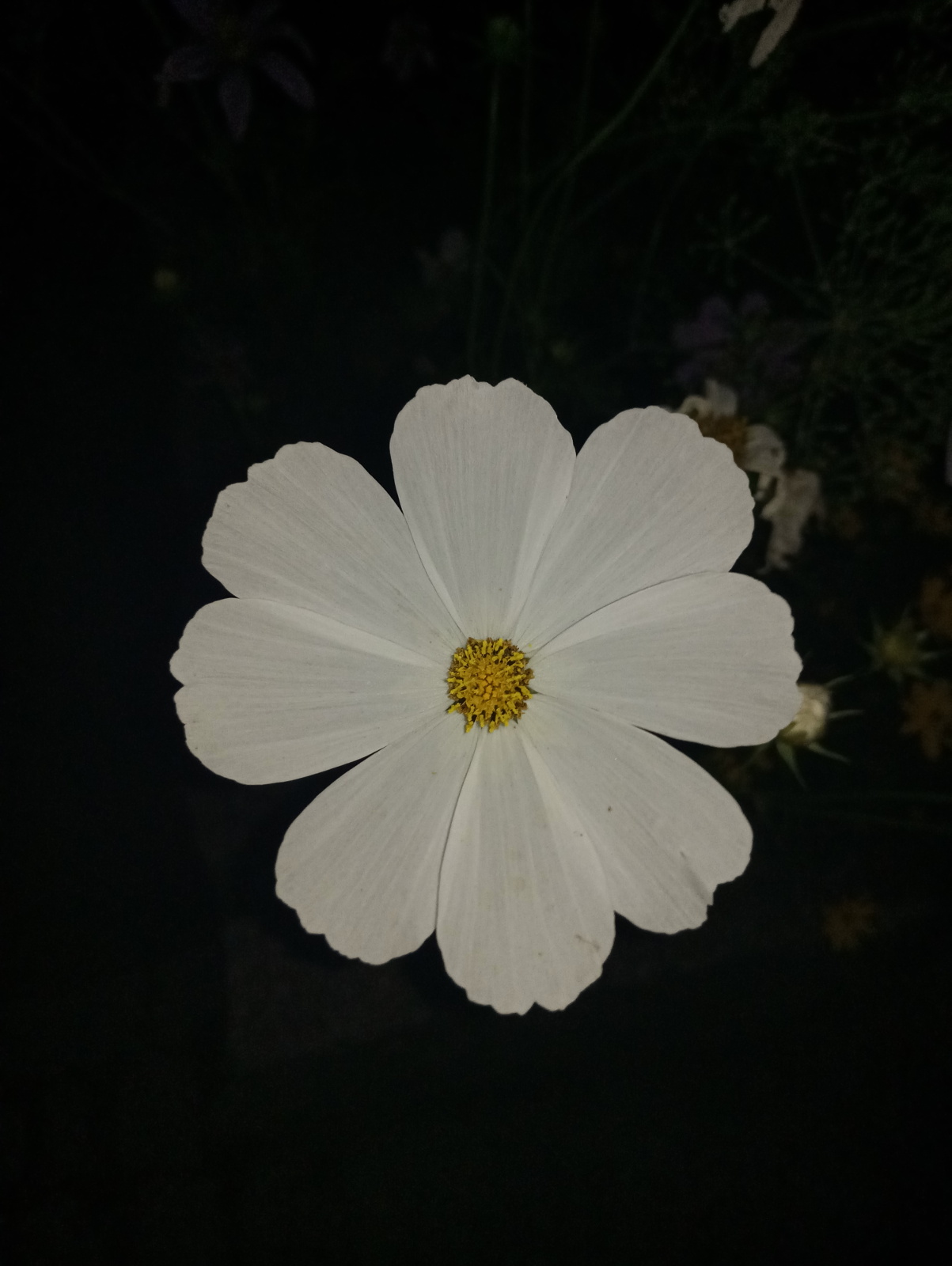 Recenzja Meizu Pro 7, telefonu z dwoma ekranami! 39 Recenzja Meizu Pro 7, telefonu z dwoma ekranami!