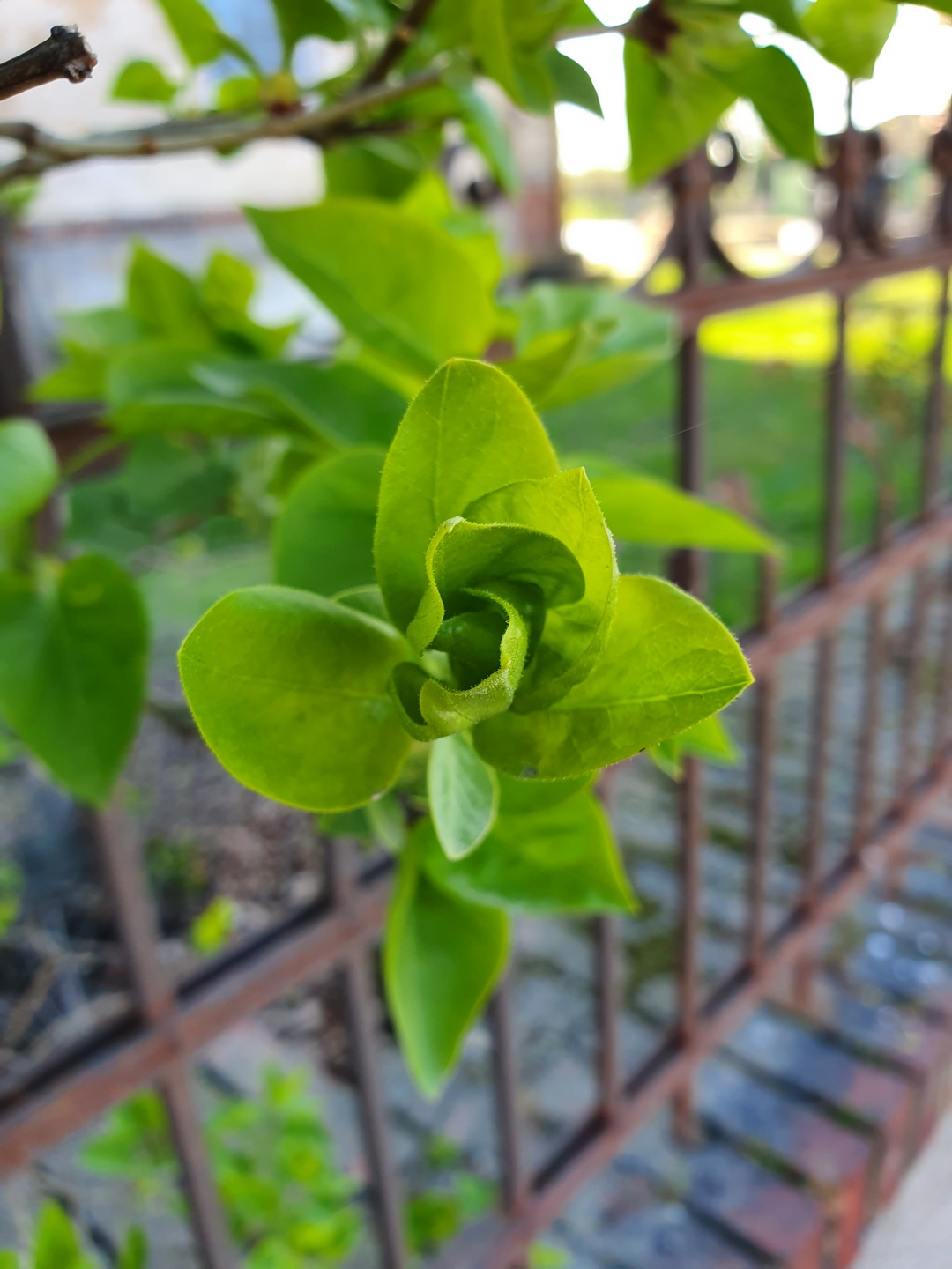 Samsung Galaxy S10e to kompaktowy flagowiec z prawdziwego zdarzenia – recenzja 46 Samsung Galaxy S10e to kompaktowy flagowiec z prawdziwego zdarzenia – recenzja