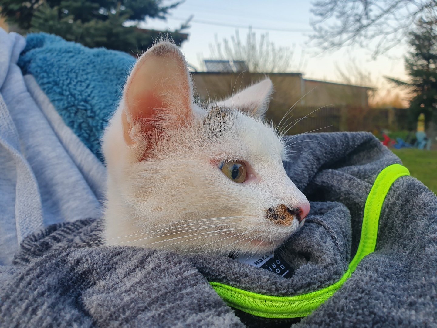 Samsung Galaxy S10e to kompaktowy flagowiec z prawdziwego zdarzenia – recenzja 45 Samsung Galaxy S10e to kompaktowy flagowiec z prawdziwego zdarzenia – recenzja