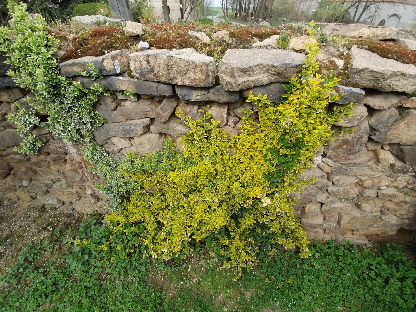 Samsung Galaxy S10e to kompaktowy flagowiec z prawdziwego zdarzenia – recenzja 34 Samsung Galaxy S10e to kompaktowy flagowiec z prawdziwego zdarzenia – recenzja