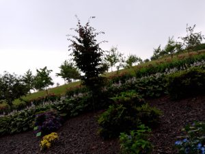 Recenzja Motorola One Vision – telefonu z „dziuro” w ekranie 42 Motorola One Vision przedni aparat 1