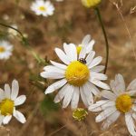 Recenzja Motorola One Vision – telefonu z „dziuro” w ekranie 20 Motorola One Vision 6