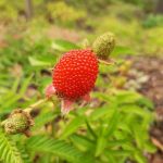 Recenzja Motorola One Vision – telefonu z „dziuro” w ekranie 21 Motorola One Vision 7