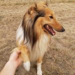 Recenzja Motorola One Vision – telefonu z „dziuro” w ekranie 22 Motorola One Vision5