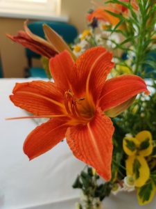 Recenzja OnePlus 7 Pro - flagowca w każdym calu 39 oneplus 7 pro zdjęcia