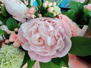 Recenzja OnePlus 7 Pro - flagowca w każdym calu 36 oneplus 7 pro zdjęcia