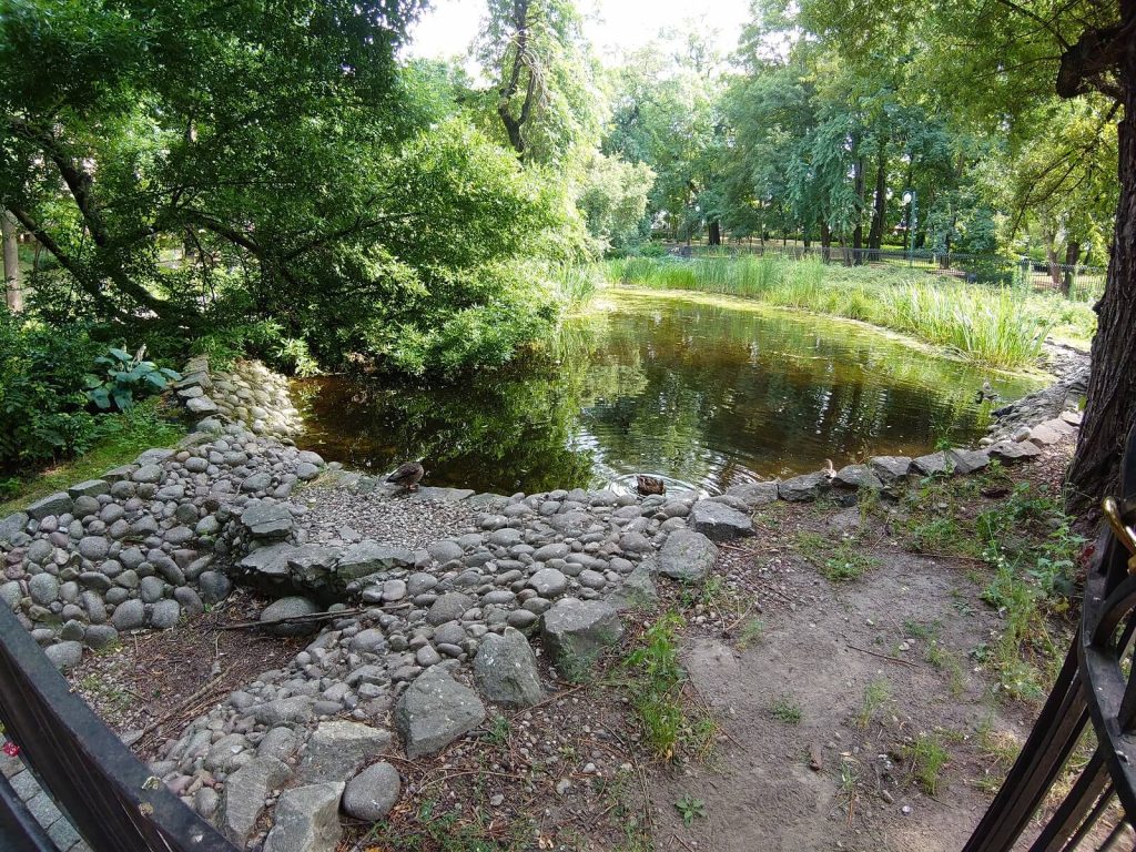 Recenzja smarfonu Sony Xperia 1, który wydaje się być absolutną klasą premium, ale to tylko złudzenie... 48 sony xperia 1 zdjęcie