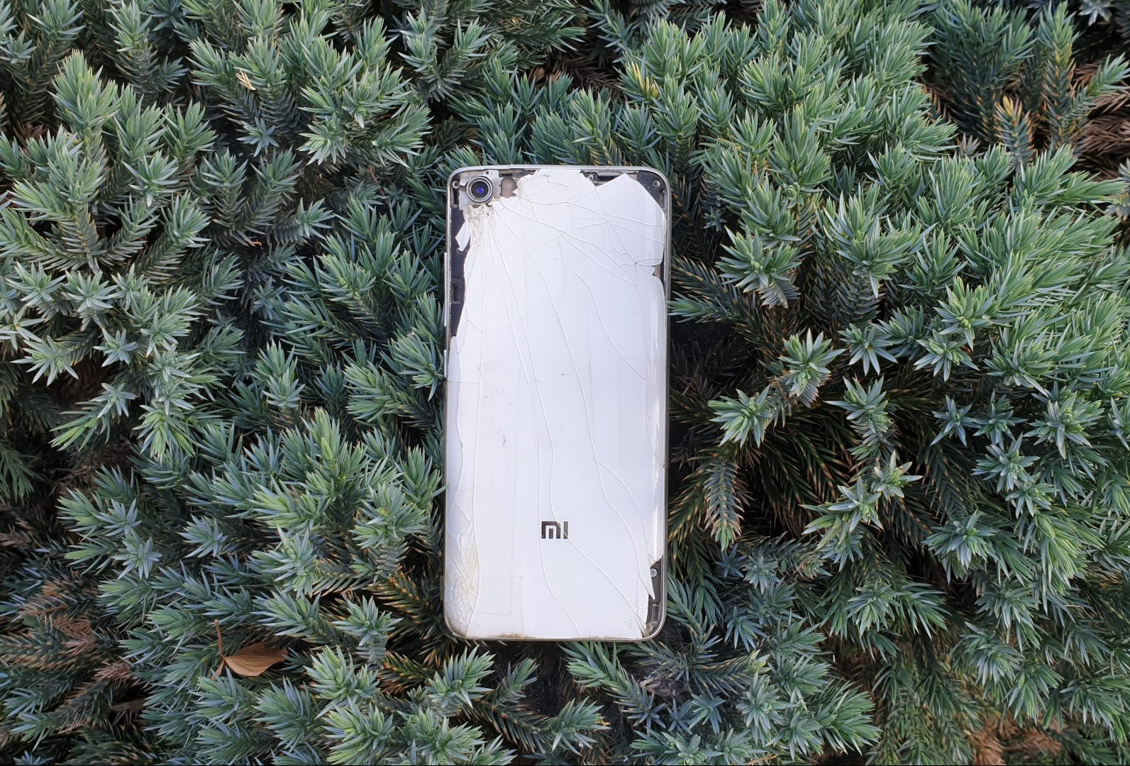 ROOTgear: Xiaomi Mi 8 Huberta 11 Xiaomi Mi 5 ROOTgear Hubert