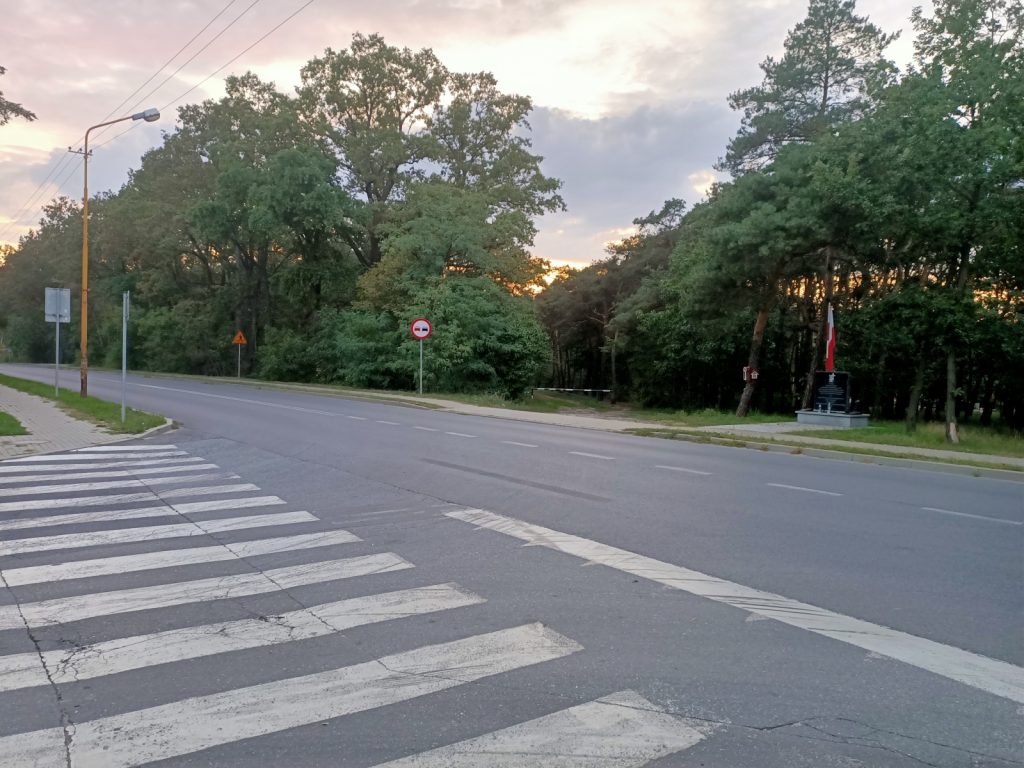 Recenzja OPPO Reno Z – zachwyca przede wszystkim wyglądem 39 zdjęcie z telefonu