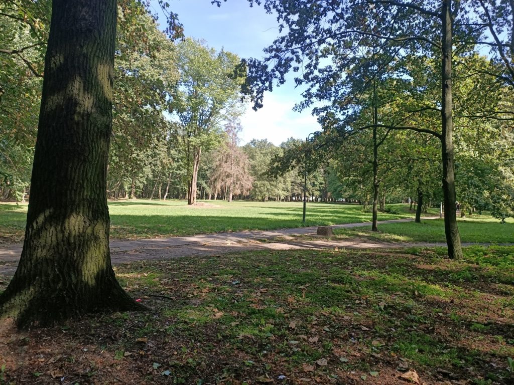 Recenzja OPPO Reno Z – zachwyca przede wszystkim wyglądem 41 zdjęcie z telefonu