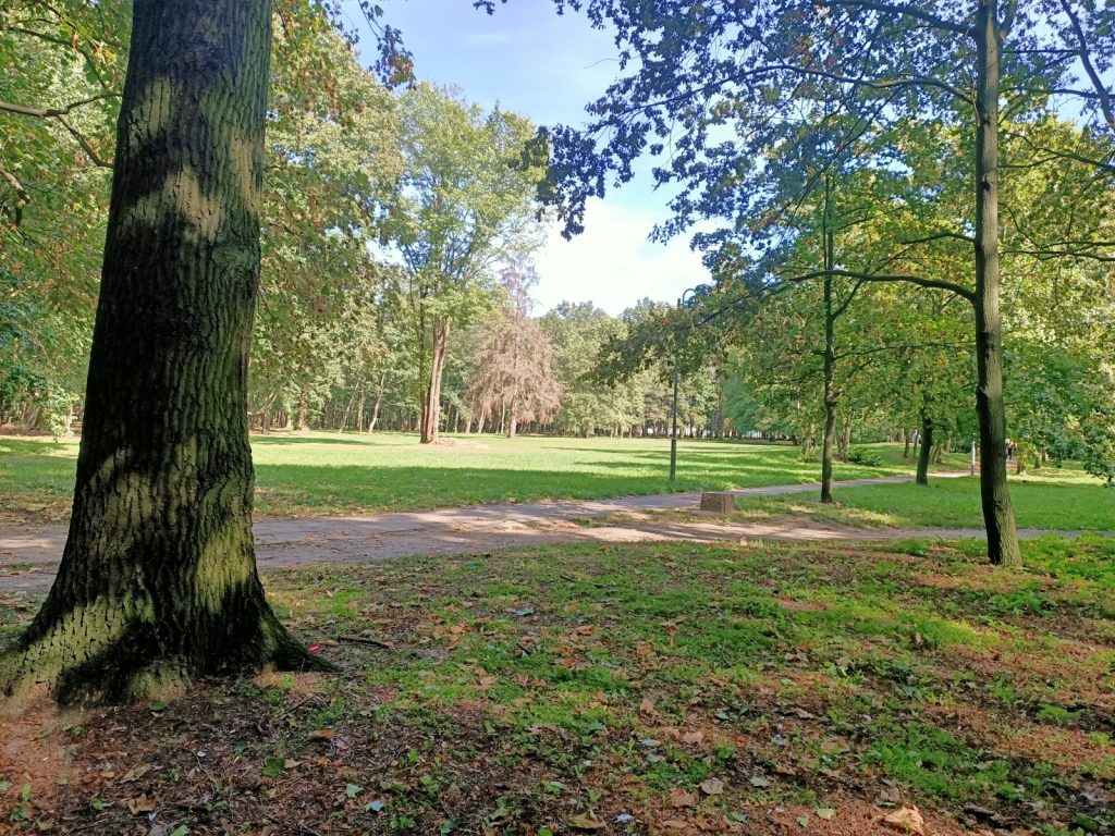 Recenzja OPPO Reno Z – zachwyca przede wszystkim wyglądem 42 zdjęcie z telefonu