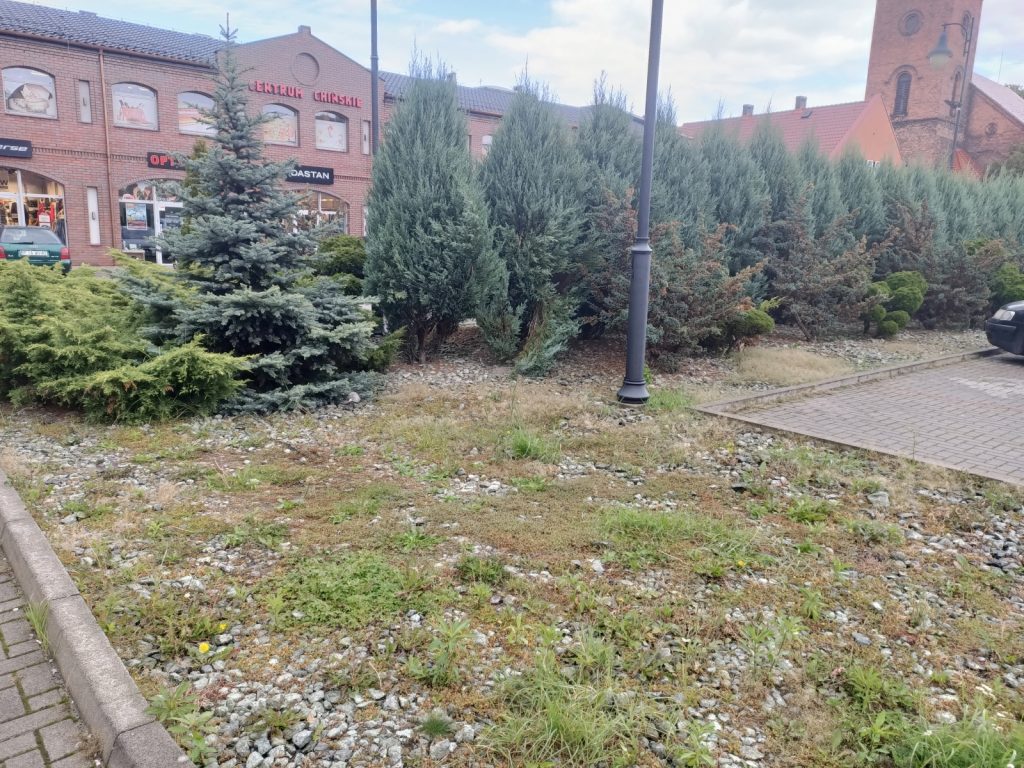 Recenzja OPPO Reno Z – zachwyca przede wszystkim wyglądem 45 zdjęcie z telefonu