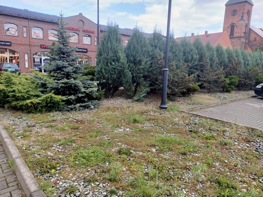 Recenzja OPPO Reno Z – zachwyca przede wszystkim wyglądem 46 zdjęcie z telefonu