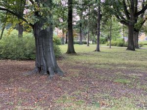 Recenzja iPhone 11 Pro: gdyby nie cena, to może bym się nawrócił na Apple 30 Recenzja iPhone 11 Pro: gdyby nie cena, to może bym się nawrócił na Apple