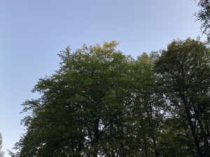 Recenzja iPhone 11 Pro: gdyby nie cena, to może bym się nawrócił na Apple 31 Recenzja iPhone 11 Pro: gdyby nie cena, to może bym się nawrócił na Apple