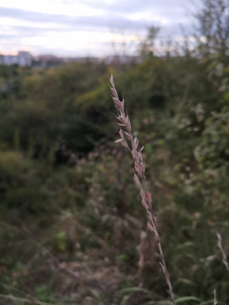 Recenzja Huawei Mate 20X 5G, czyli naprawdę wielkiego smartfonu! 47 Huawei Mate 20X 5G zdjęcie