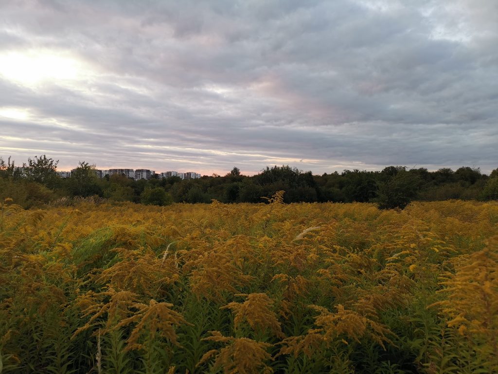 Recenzja Huawei Mate 20X 5G, czyli naprawdę wielkiego smartfonu! 51 Huawei Mate 20X 5G zdjęcie