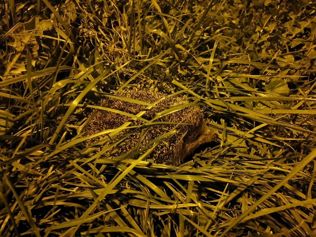 Recenzja Huawei Mate 20X 5G, czyli naprawdę wielkiego smartfonu! 48 Huawei Mate 20X 5G zdjęcie