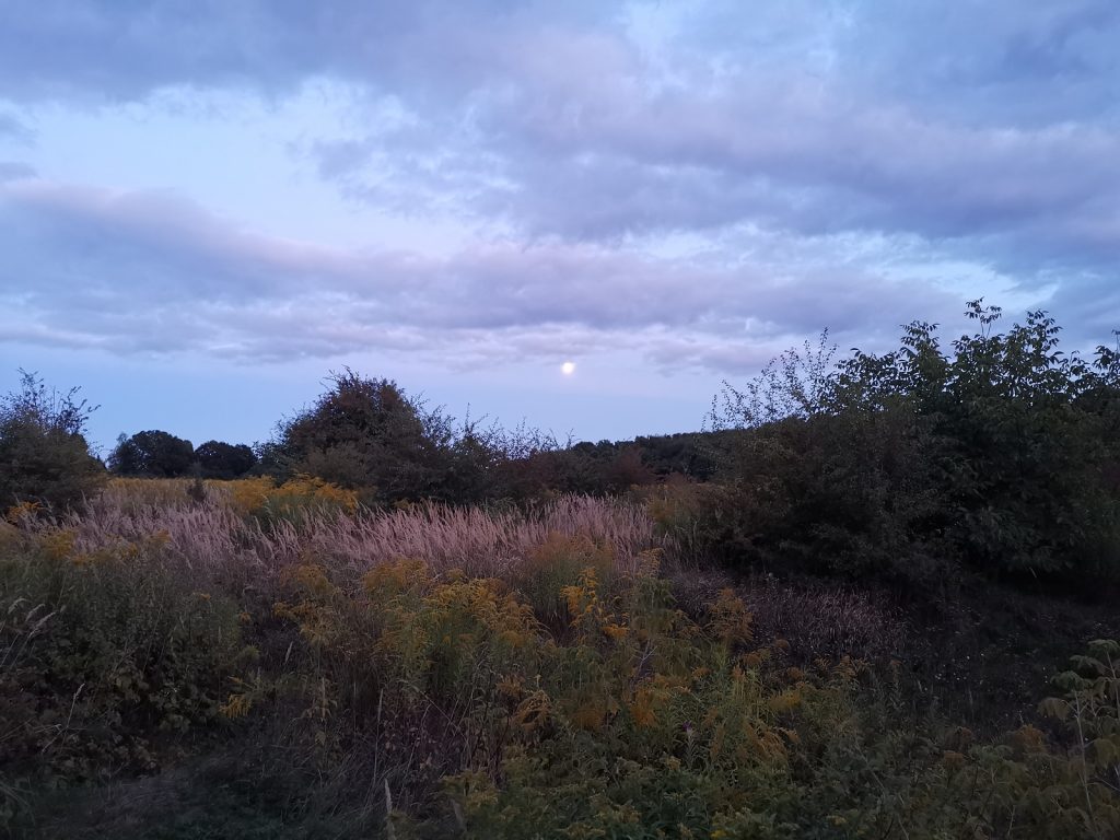 Recenzja Huawei Mate 20X 5G, czyli naprawdę wielkiego smartfonu! 52 Huawei Mate 20X 5G zdjęcie