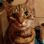 Pokaż mi swoją dłoń, czyli recenzja LG G8S ThinQ. 26 Pokaż mi swoją dłoń, czyli recenzja LG G8S ThinQ.