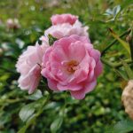 Pokaż mi swoją dłoń, czyli recenzja LG G8S ThinQ. 21 Pokaż mi swoją dłoń, czyli recenzja LG G8S ThinQ.