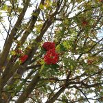 Pokaż mi swoją dłoń, czyli recenzja LG G8S ThinQ. 22 Pokaż mi swoją dłoń, czyli recenzja LG G8S ThinQ.