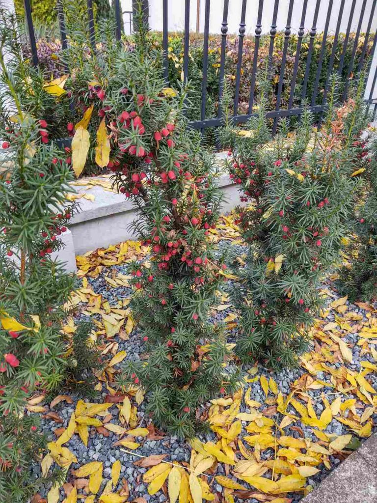 Motorola One Zoom – porządny średniak z kilkoma mankamentami i... za wysoką ceną 34 Motorola One Zoom – porządny średniak z kilkoma mankamentami i... za wysoką ceną