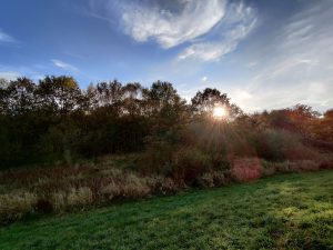 OnePlus 7T sprawdzony! Tak powinna wyglądać siódemka 27 OnePlus 7T sprawdzony! Tak powinna wyglądać siódemka