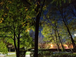 OnePlus 7T sprawdzony! Tak powinna wyglądać siódemka 39 OnePlus 7T sprawdzony! Tak powinna wyglądać siódemka