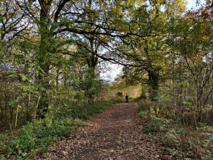 OnePlus 7T sprawdzony! Tak powinna wyglądać siódemka 41 OnePlus 7T sprawdzony! Tak powinna wyglądać siódemka