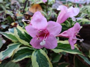 OnePlus 7T sprawdzony! Tak powinna wyglądać siódemka 29 OnePlus 7T sprawdzony! Tak powinna wyglądać siódemka