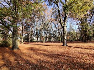 OnePlus 7T sprawdzony! Tak powinna wyglądać siódemka 31 OnePlus 7T sprawdzony! Tak powinna wyglądać siódemka