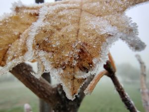OnePlus 7T sprawdzony! Tak powinna wyglądać siódemka 32 OnePlus 7T sprawdzony! Tak powinna wyglądać siódemka