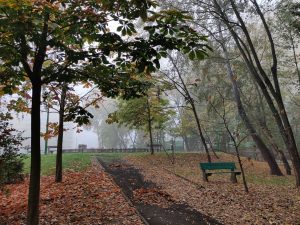 OnePlus 7T sprawdzony! Tak powinna wyglądać siódemka 33 OnePlus 7T sprawdzony! Tak powinna wyglądać siódemka