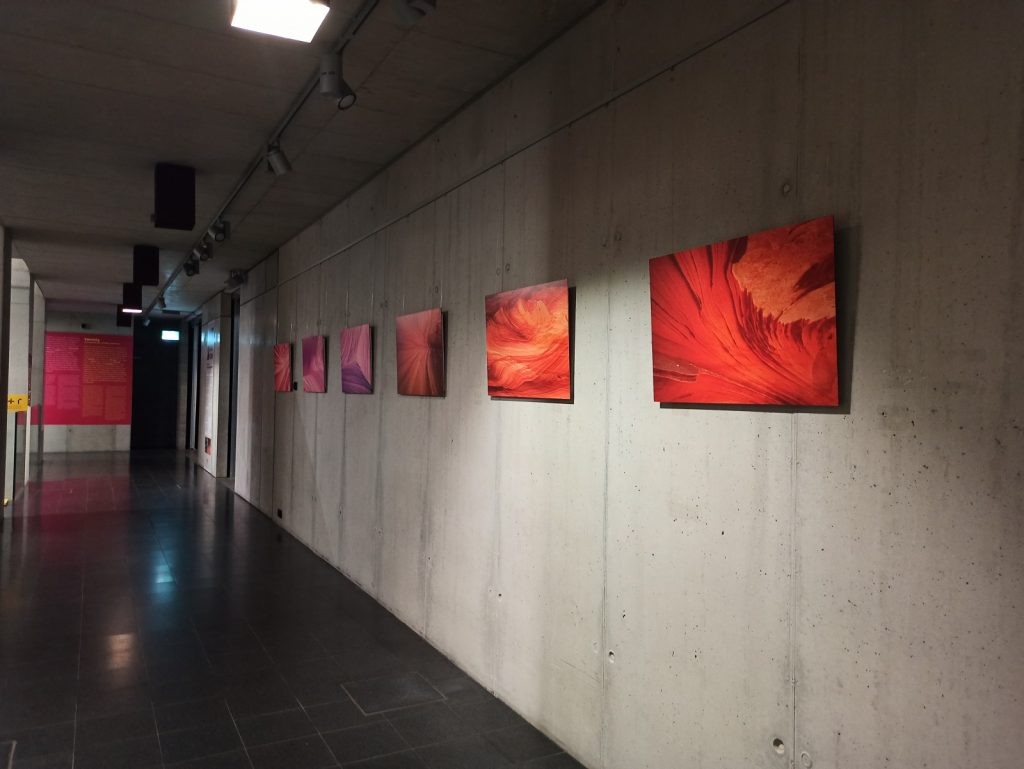 Aż ciężko mi uwierzyć, że ten telefon kosztuje tylko tyle... Recenzja Redmi Note 8 Pro! 35 Redmi Note 8 Pro zdjęcie