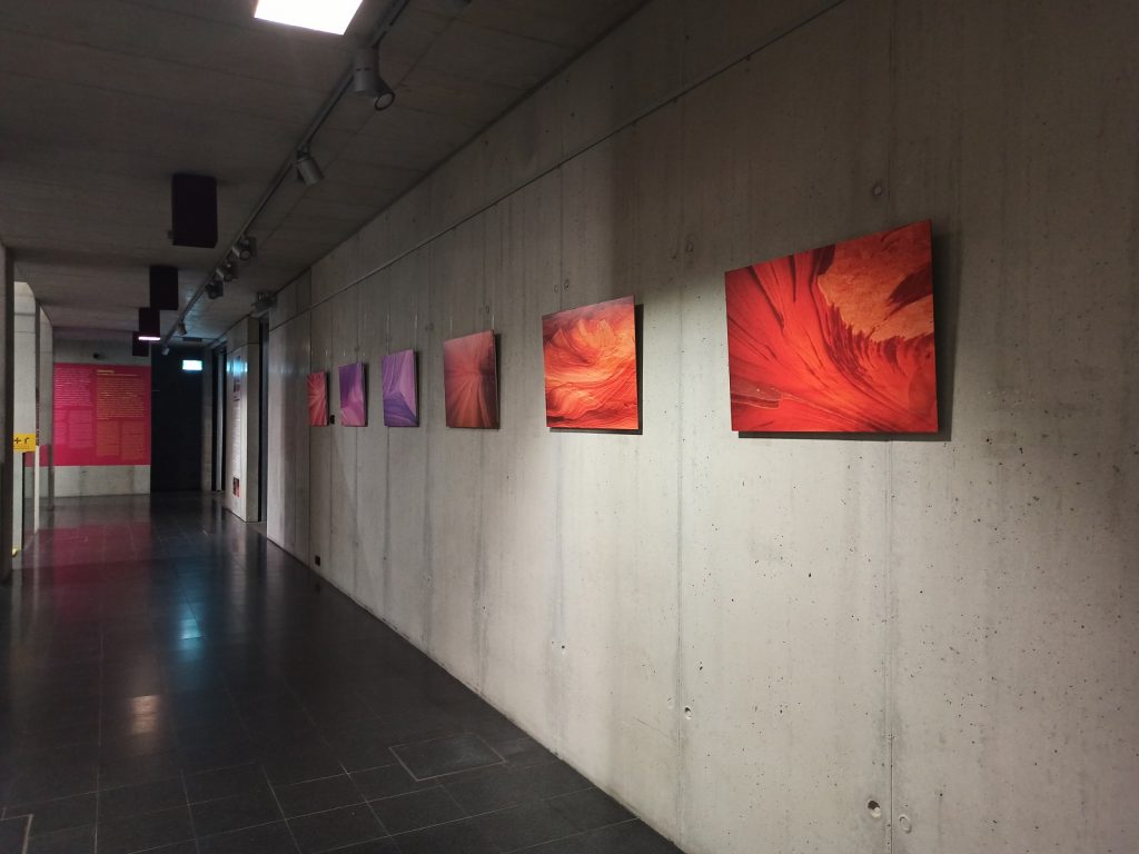 Aż ciężko mi uwierzyć, że ten telefon kosztuje tylko tyle... Recenzja Redmi Note 8 Pro! 36 Redmi Note 8 Pro zdjęcie