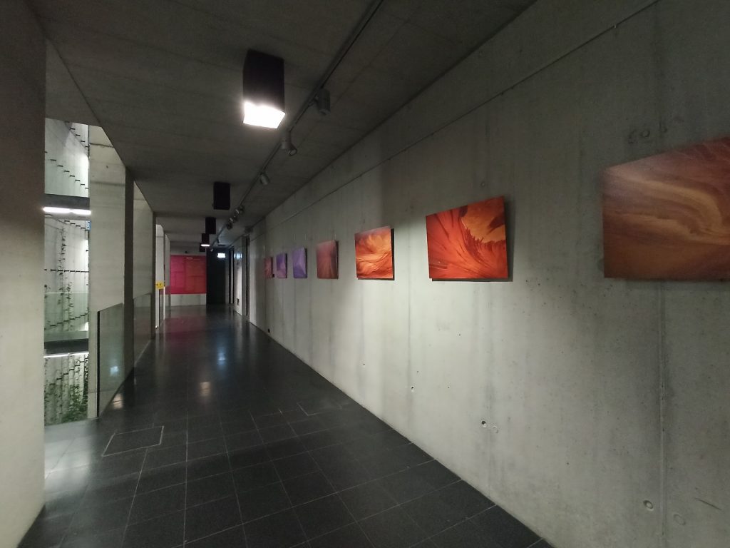 Aż ciężko mi uwierzyć, że ten telefon kosztuje tylko tyle... Recenzja Redmi Note 8 Pro! 37 Redmi Note 8 Pro zdjęcie