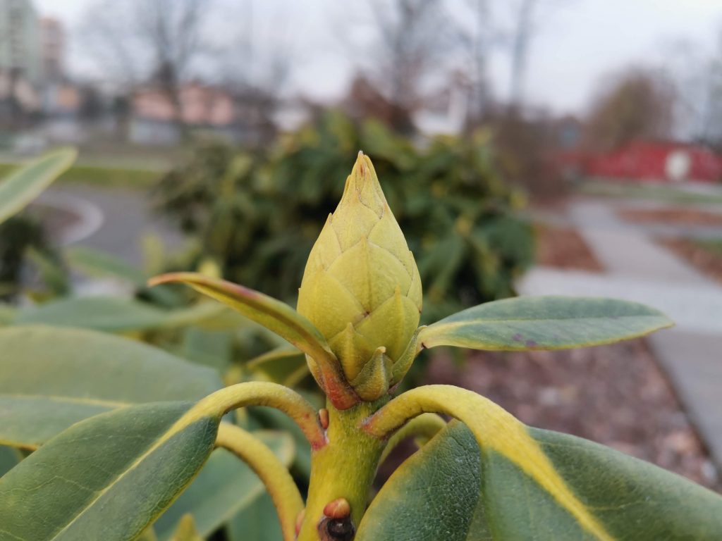 Recenzja Huawei Nova 5T - smartfona, który ma w sobie nieco z flagowca 38 Recenzja Huawei Nova 5T - smartfona, który ma w sobie nieco z flagowca