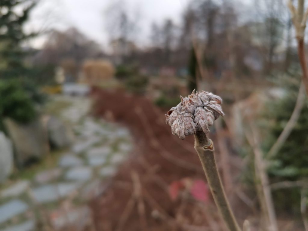 Recenzja Huawei Nova 5T - smartfona, który ma w sobie nieco z flagowca 42 Recenzja Huawei Nova 5T - smartfona, który ma w sobie nieco z flagowca