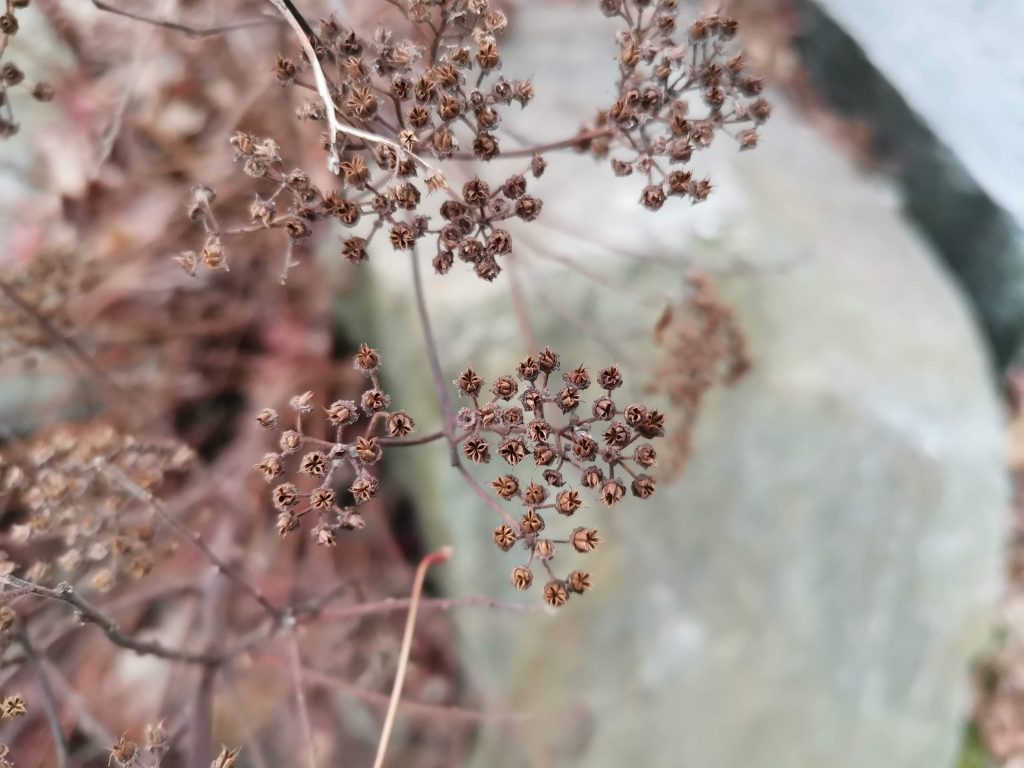 Recenzja Huawei Nova 5T - smartfona, który ma w sobie nieco z flagowca 43 Recenzja Huawei Nova 5T - smartfona, który ma w sobie nieco z flagowca