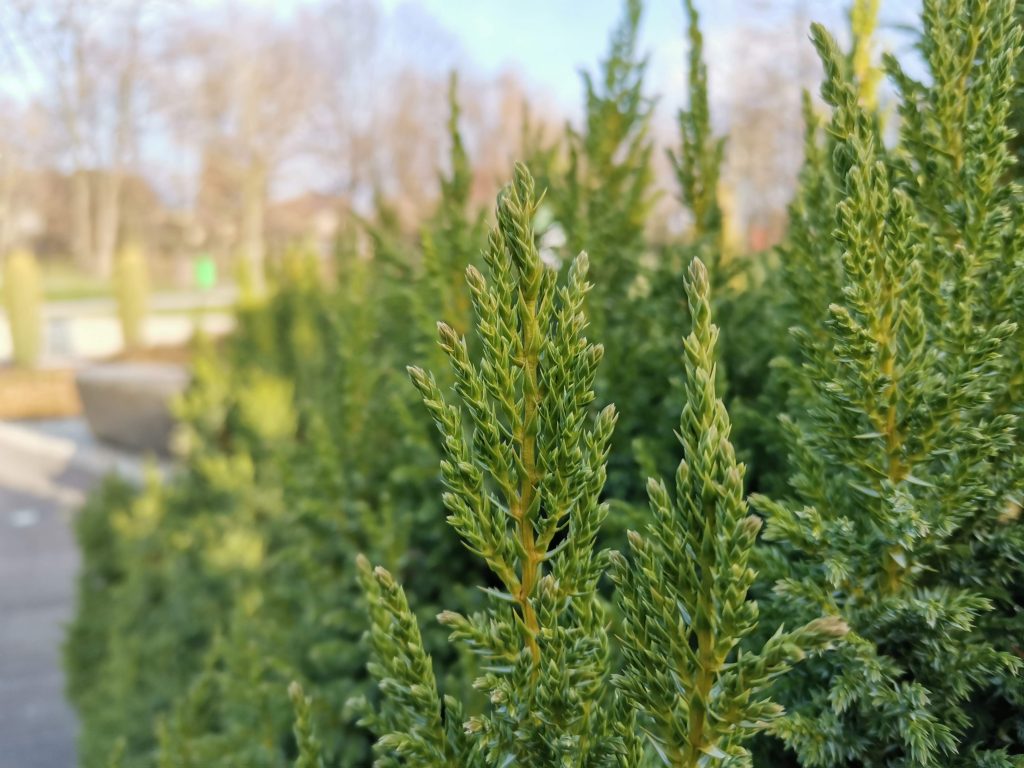 Recenzja Huawei Nova 5T - smartfona, który ma w sobie nieco z flagowca 39 Recenzja Huawei Nova 5T - smartfona, który ma w sobie nieco z flagowca