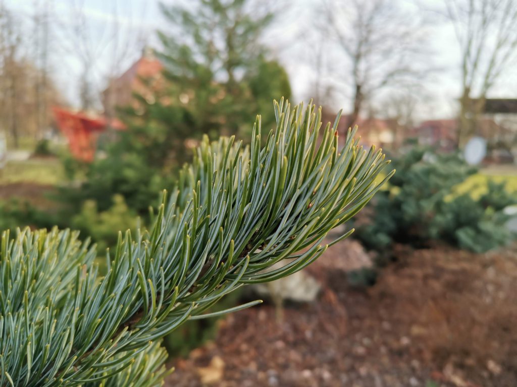 Recenzja Huawei Nova 5T - smartfona, który ma w sobie nieco z flagowca 40 Recenzja Huawei Nova 5T - smartfona, który ma w sobie nieco z flagowca