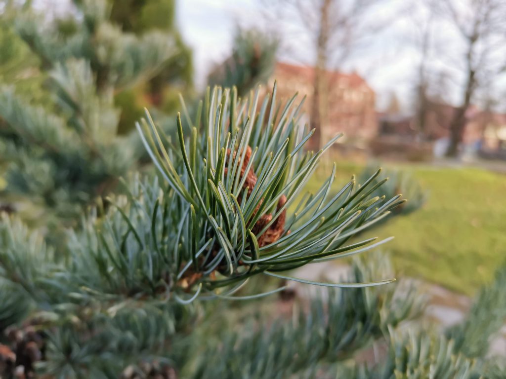 Recenzja Huawei Nova 5T - smartfona, który ma w sobie nieco z flagowca 41 Recenzja Huawei Nova 5T - smartfona, który ma w sobie nieco z flagowca