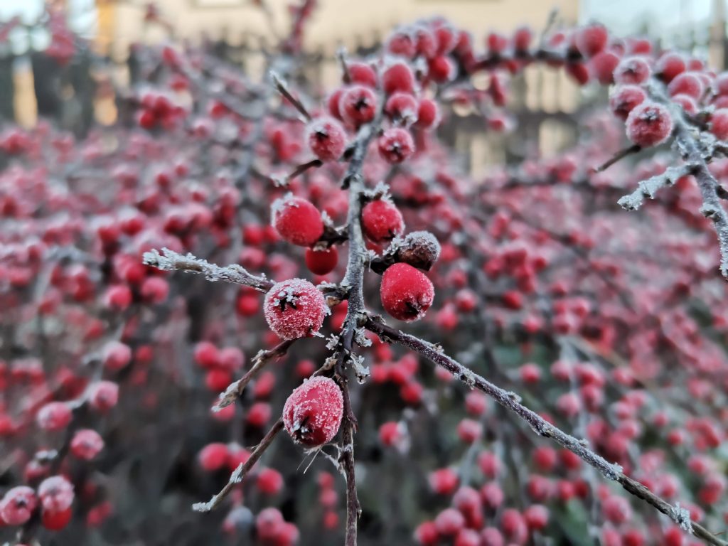 Recenzja Huawei Nova 5T - smartfona, który ma w sobie nieco z flagowca 36 Recenzja Huawei Nova 5T - smartfona, który ma w sobie nieco z flagowca