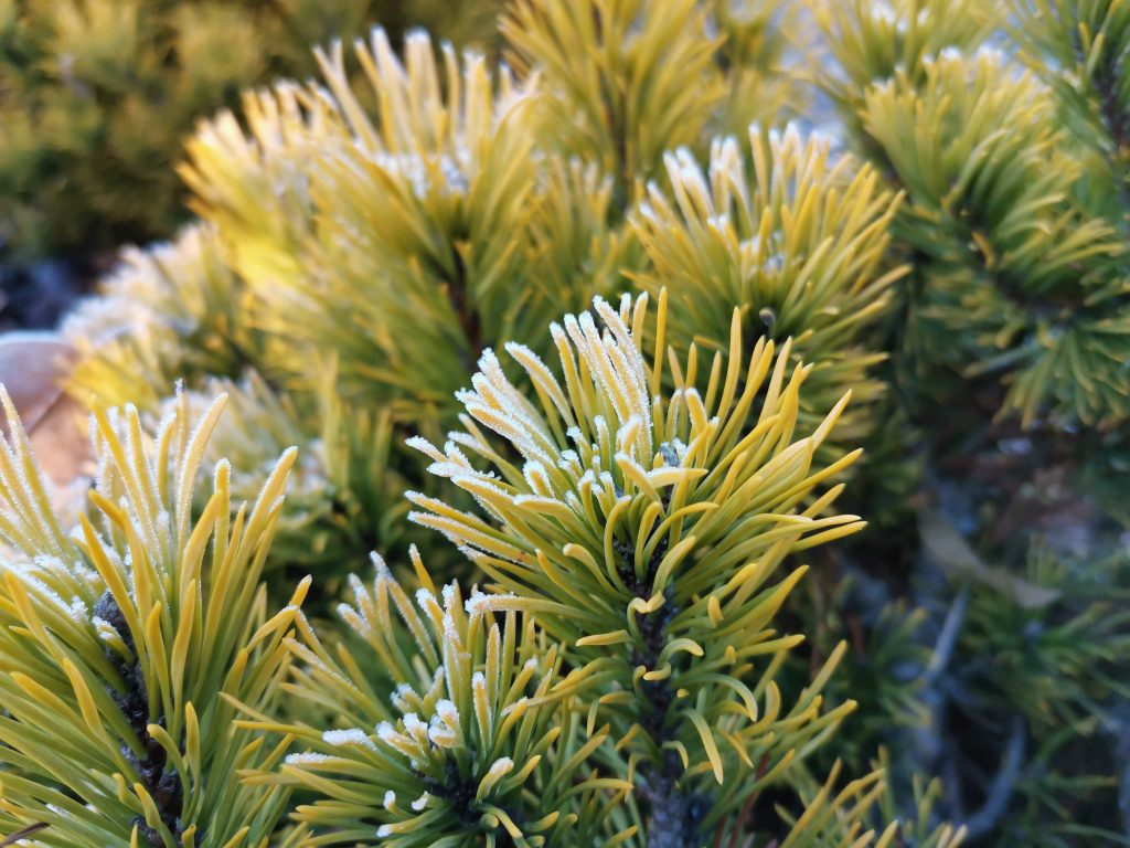 Recenzja Huawei Nova 5T - smartfona, który ma w sobie nieco z flagowca 37 Recenzja Huawei Nova 5T - smartfona, który ma w sobie nieco z flagowca