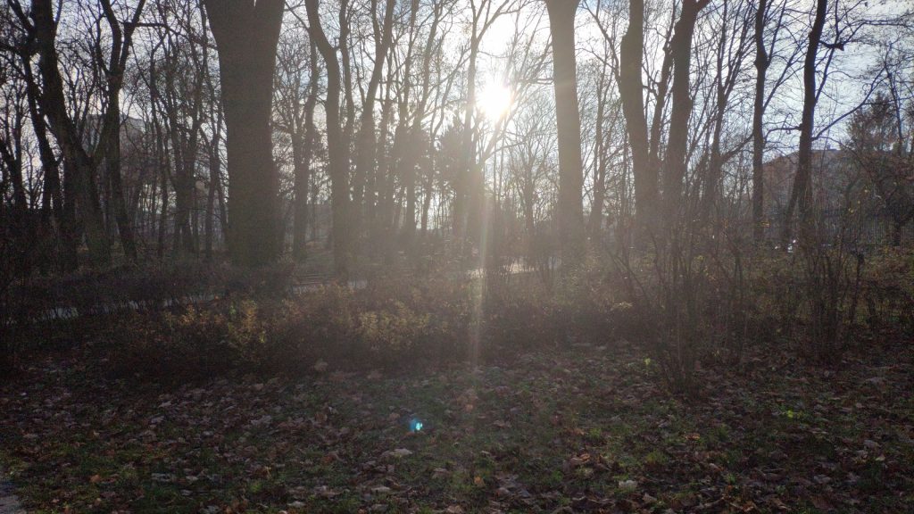 Adobe Photoshop Camera to świetna aplikacja do robienia zdjęć na social media! 18 Adobe Photoshop Camera