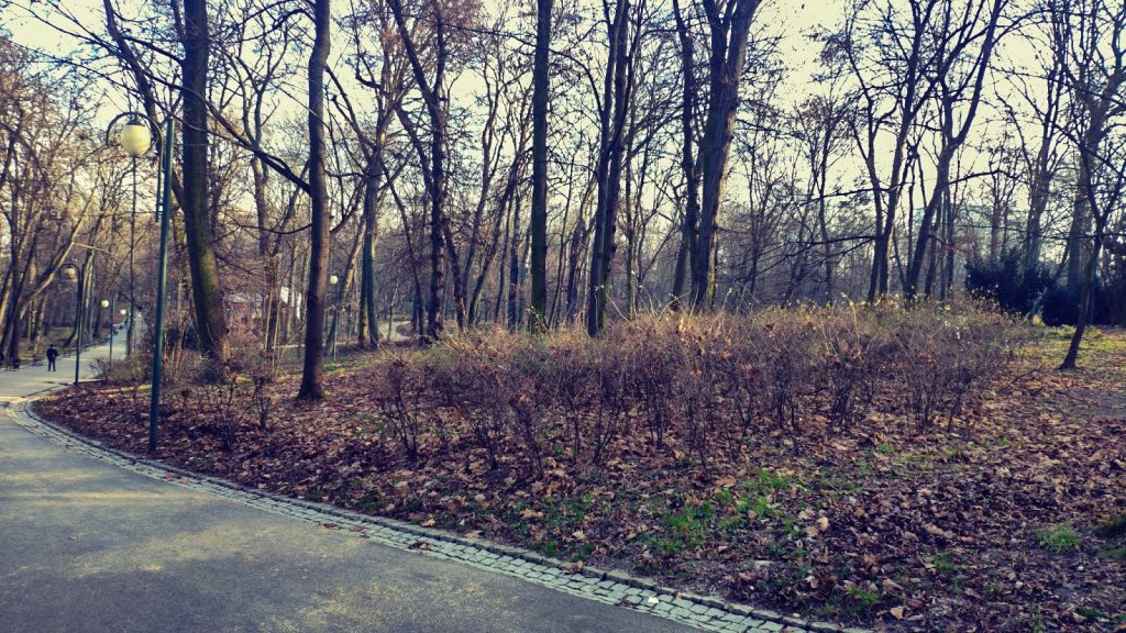 Adobe Photoshop Camera to świetna aplikacja do robienia zdjęć na social media! 19 Adobe Photoshop Camera