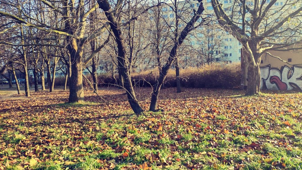 Adobe Photoshop Camera to świetna aplikacja do robienia zdjęć na social media! 22 Adobe Photoshop Camera