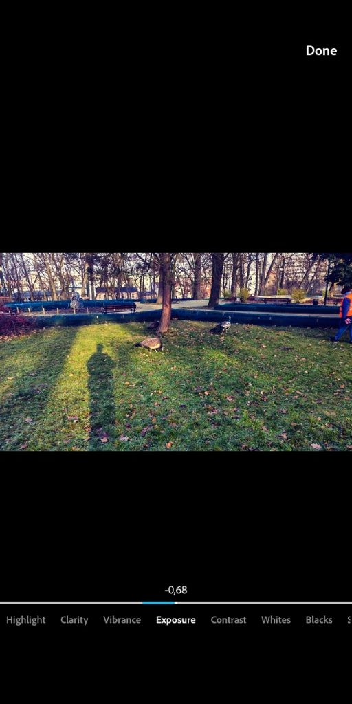 Adobe Photoshop Camera to świetna aplikacja do robienia zdjęć na social media! 16 Adobe Photoshop Camera