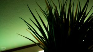 Smart Home z ROOTBLOG: inteligentne oświetlenie domu Yeelight 63 yeelight lightstrip plus doniczka zielony